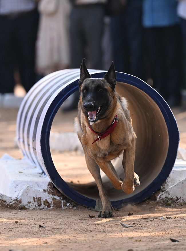  25th Batch Sniffer Dogs Squad Passing Out Parade Photos14