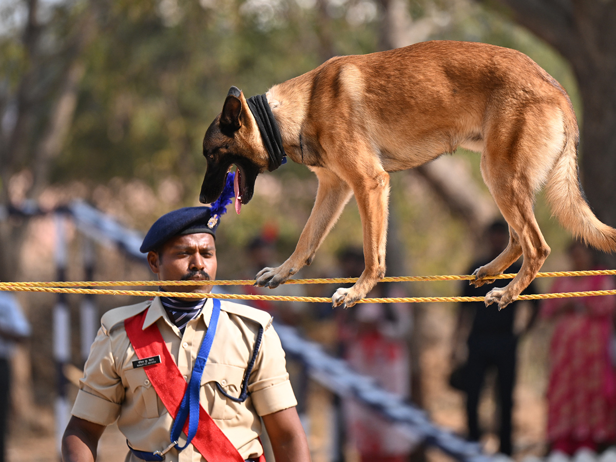  25th Batch Sniffer Dogs Squad Passing Out Parade Photos16
