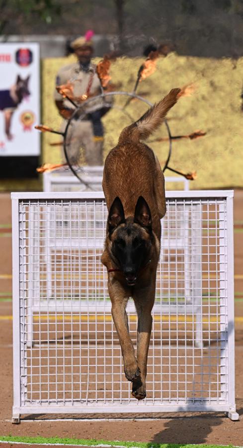  25th Batch Sniffer Dogs Squad Passing Out Parade Photos18