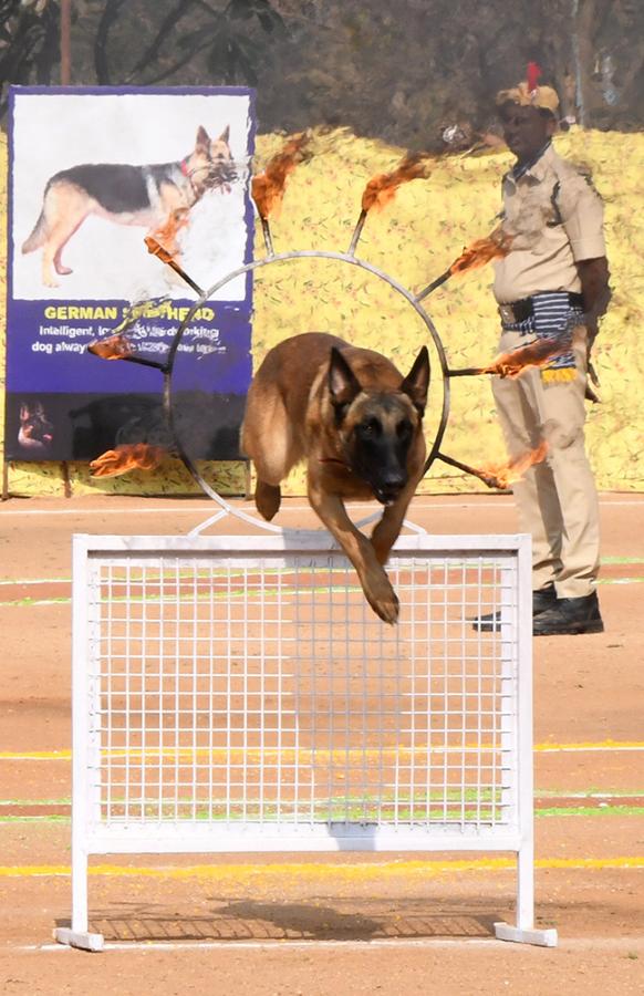  25th Batch Sniffer Dogs Squad Passing Out Parade Photos19