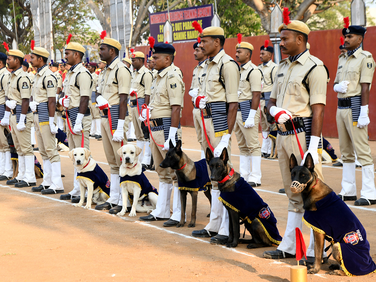  25th Batch Sniffer Dogs Squad Passing Out Parade Photos2