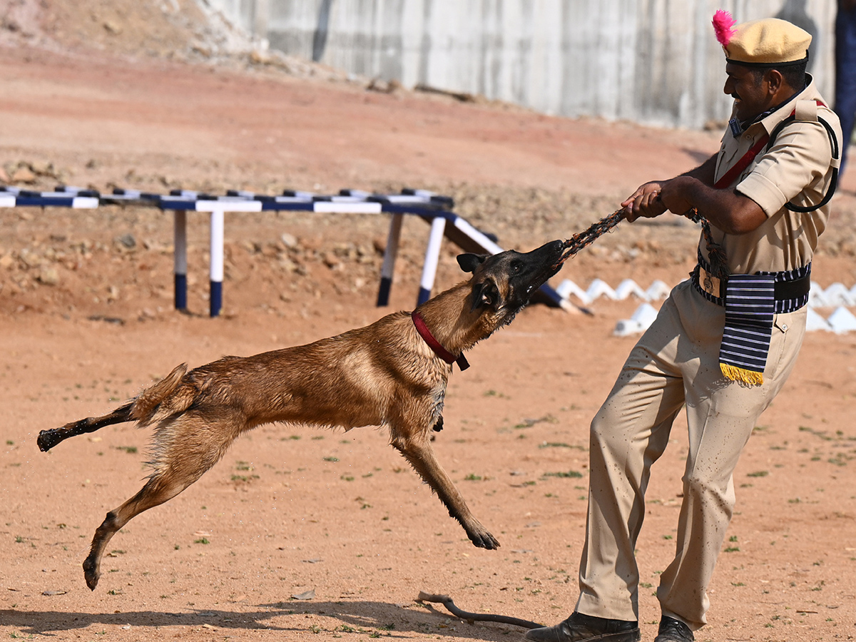  25th Batch Sniffer Dogs Squad Passing Out Parade Photos21