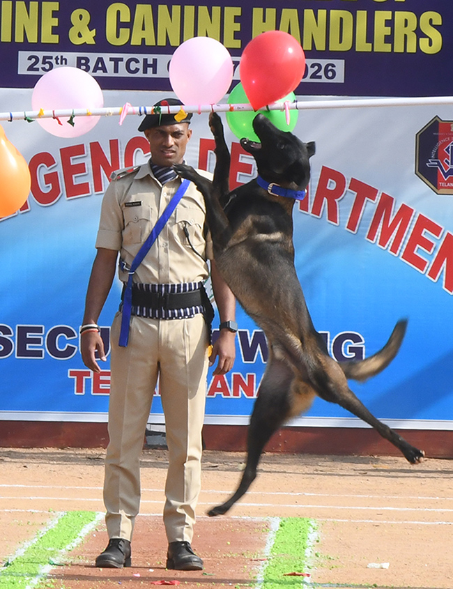  25th Batch Sniffer Dogs Squad Passing Out Parade Photos22