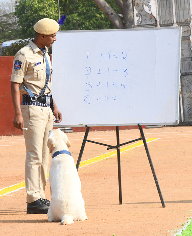  25th Batch Sniffer Dogs Squad Passing Out Parade Photos24