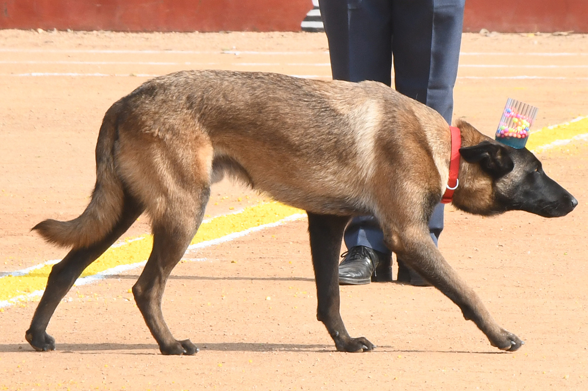  25th Batch Sniffer Dogs Squad Passing Out Parade Photos25