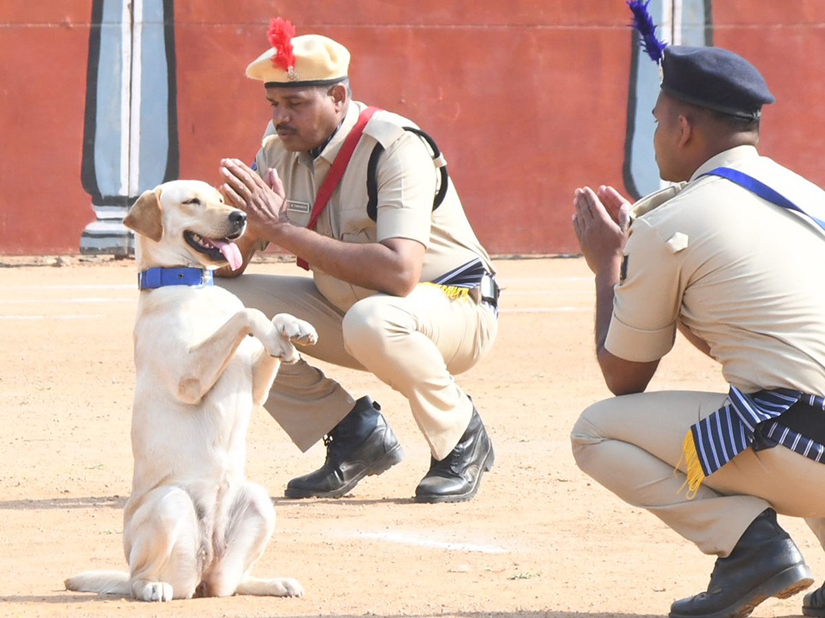  25th Batch Sniffer Dogs Squad Passing Out Parade Photos27