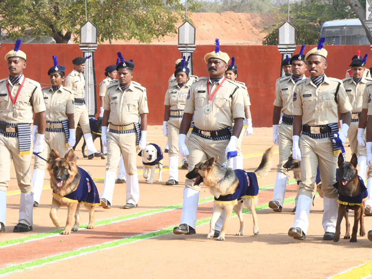  25th Batch Sniffer Dogs Squad Passing Out Parade Photos34