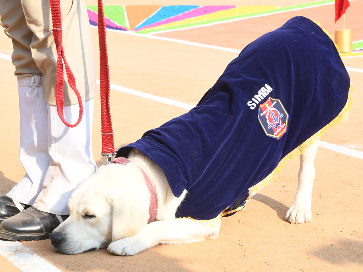 25th Batch Sniffer Dogs Squad Passing Out Parade Photos35