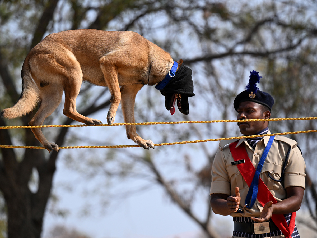  25th Batch Sniffer Dogs Squad Passing Out Parade Photos36