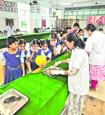 మొరాయించిన రైల్వేగేటు 3