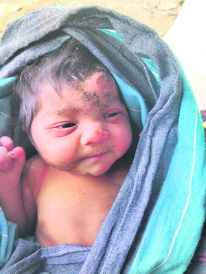 చెట్ల పొదల్లో నవజాత శిశువు1