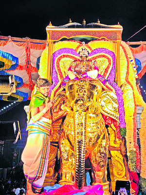 ముస్తాబైన పెళ్లి మండపం(ఇన్‌సెట్‌) గజ, సింహ వాహనాలపై శివ2