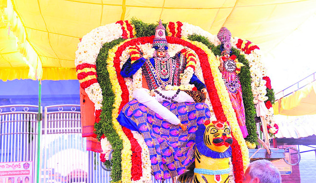 వ్యాఘ్ర వాహనంపై మహానందీశుడి విహారం 2