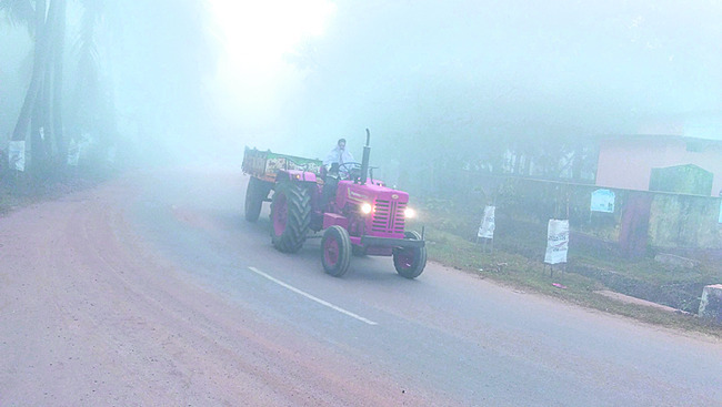 పూత పూసేనా..పిందె కట్టేనా!2