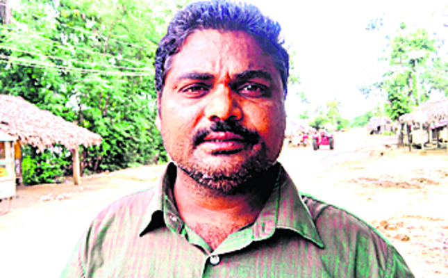 పూత పూసేనా..పిందె కట్టేనా!3