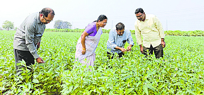 ఖైదీ మృతిపై విచారణ 1