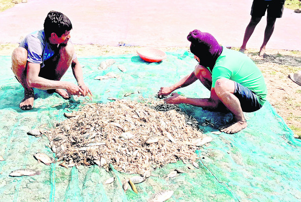 ‘అలవి’గాని అక్రమాలు! 1