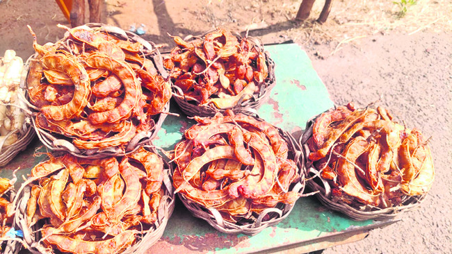 చింత సెగ2