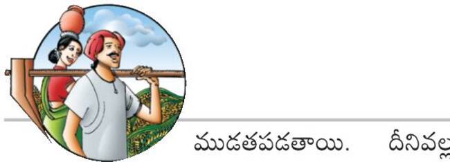 తెగుళ్ల తీగ సాగులేక..2