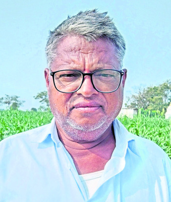 పచ్చ ‘బంగారం’ పండింది! 3