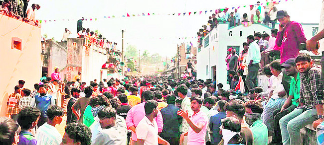 కోడెగిత్తల జోరు 1