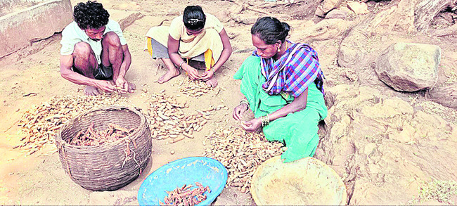 గిరిజనం చీకూచింత1