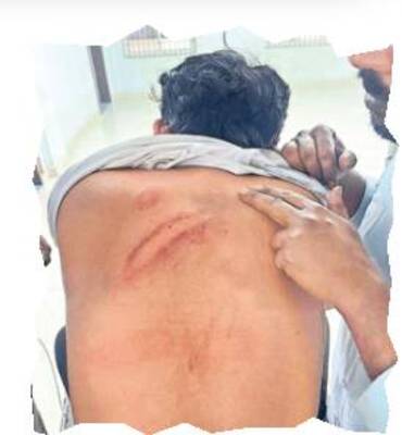 పచ్చ మూకల విధ్వంసం2