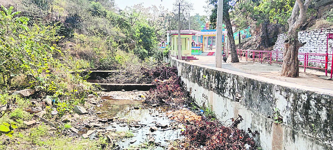 దేవదేవుడే ధ్వజమెత్తాలి! 1