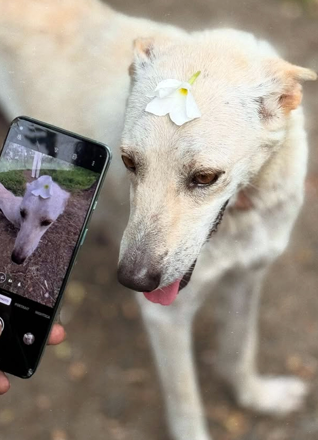 Eesha Rebba shared 'Om Shanti' movie memories (Photos)9