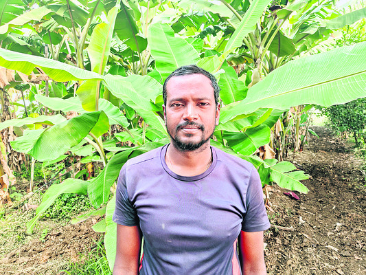 అరటి.. లాభాల్లో మేటి..! 2