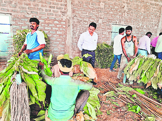 చిగురిస్తున్న ఆశలు2