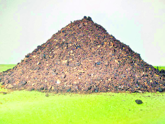 వేపపిండి లాభాలు 1