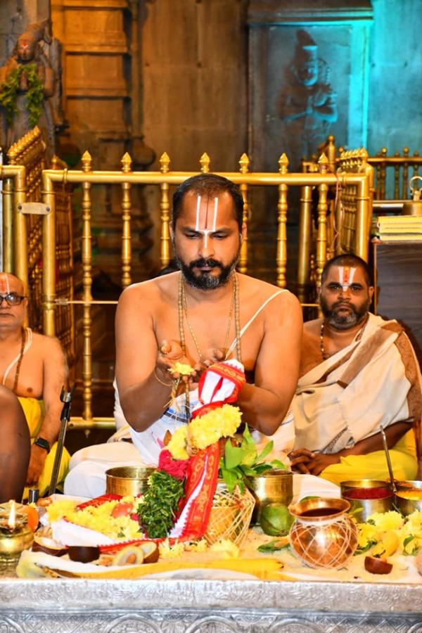 Annual Brahmotsavams Begin at Yadagirigutta Temple19