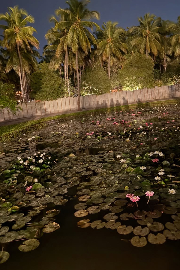 Singer Mangli Shares Her Isha Trip Beautiful Moments Photos12