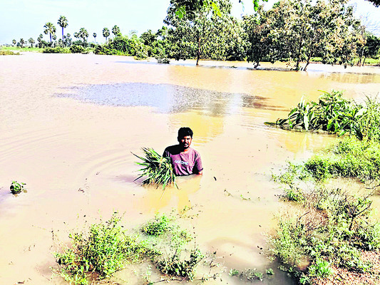 మోంథా పరిహారమేది..?1