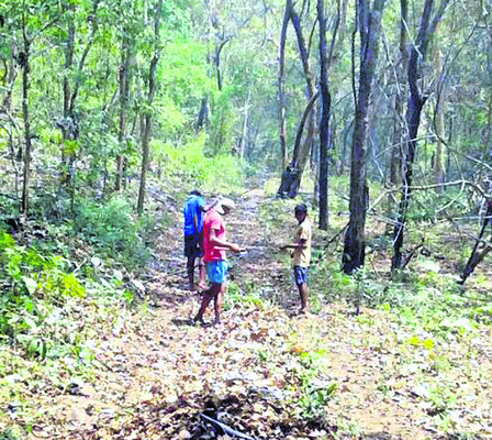 ఫైర్‌లైన్స్‌తో అగ్ని ప్రమాదాలకు చెక్‌ 1