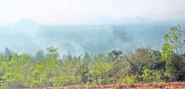 పోలేపల్లిలో భారీ అగ్ని ప్రమాదం 1