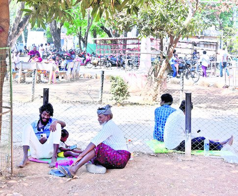 చెట్లు.. మెట్లే.. ఆవాసాలు 2