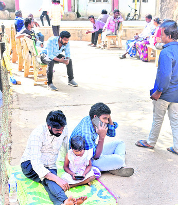 చెట్లు.. మెట్లే.. ఆవాసాలు 5