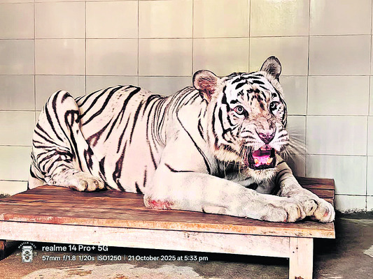 గర్జన ఆగింది.. జ్ఞాపకం మిగిలింది1