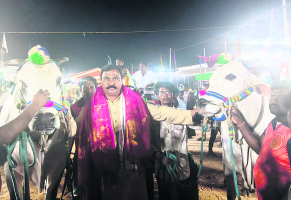 ఎడ్ల పందేల విజేత హుజూర్‌నగర్‌2