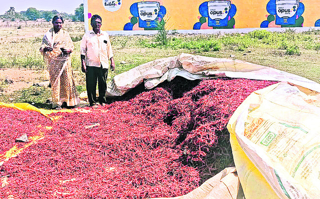 ఐదు క్వింటాళ్ల మిర్చి చోరీ
1