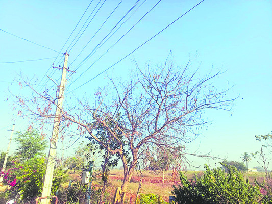 శనివారం శ్రీ 21 శ్రీ ఫిబ్రవరి శ్రీ 20262