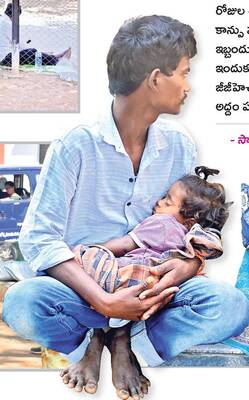 చెట్లు.. మెట్లే.. ఆవాసాలు 4