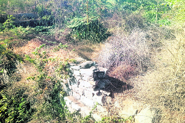 బావితరాలకు అందిదా్దం..1