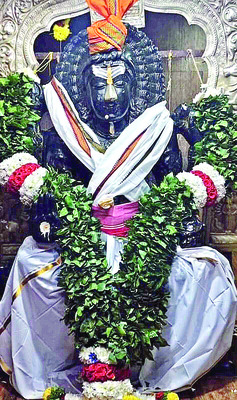 ఎస్సీ, ఎస్టీ కుటుంబాలకు ఉచిత సోలార్‌2