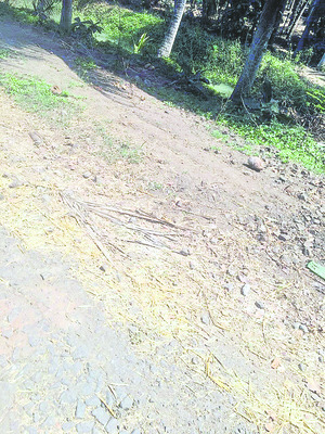 గౌతమి గుట్టుక్కుమనేనా!2