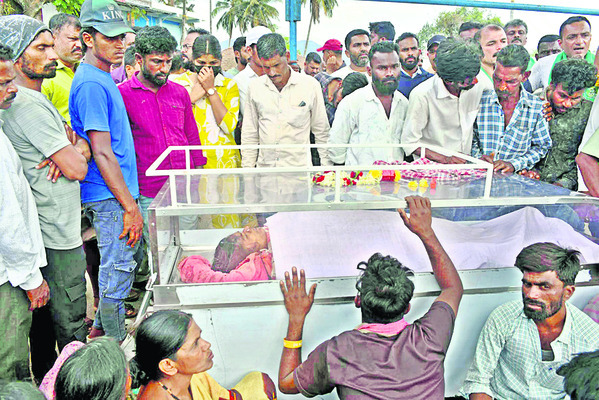 కాఫీ తోటలో ఏనుగు దాడి3