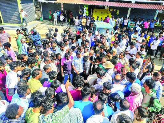 కాఫీ తోటలో ఏనుగు దాడి1