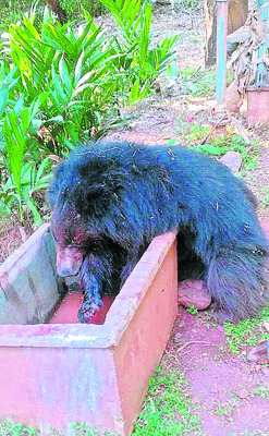 ఏసీ పేలి గోదాము దగ్ధం1